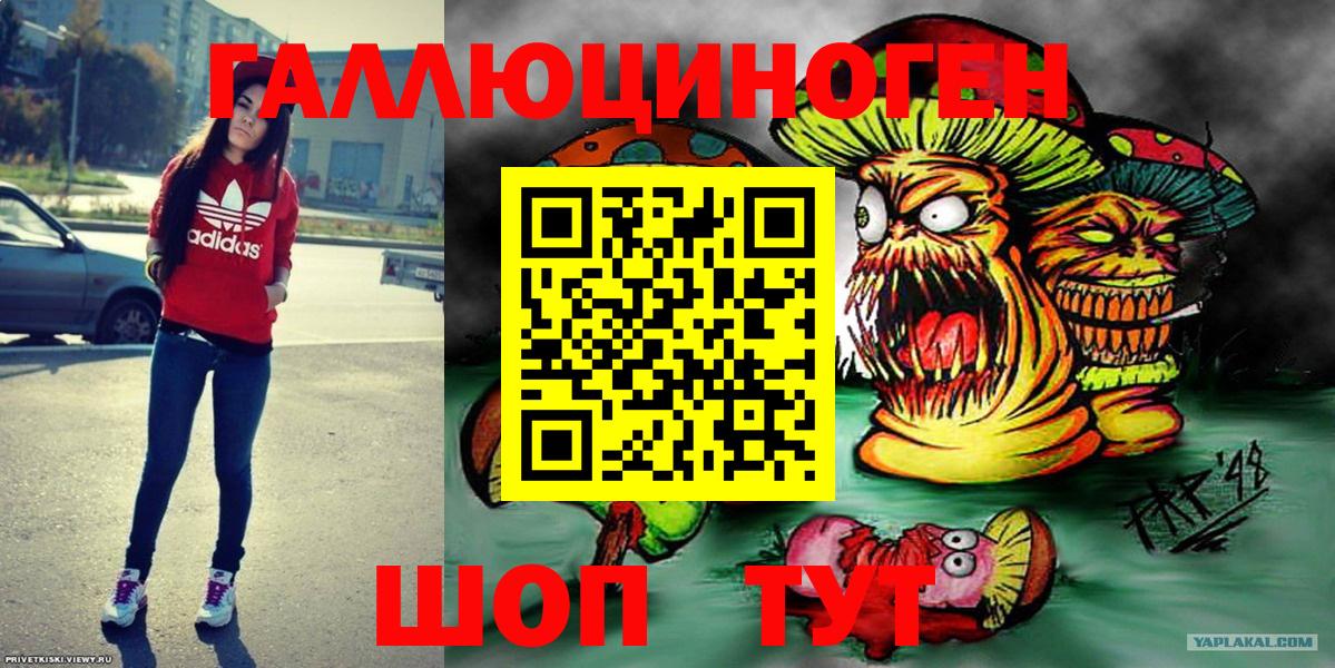 Озёрск  Псилоцибиновые грибы Cubensis  Вход с VPN 